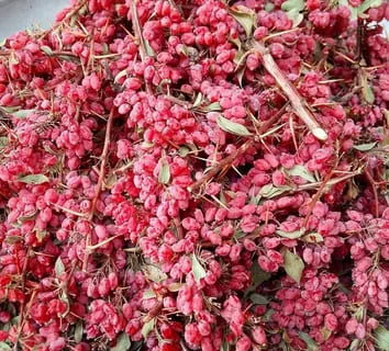 تصویر 1 از زرشک خوشه ای تازه دستچین شده